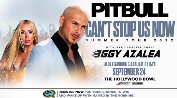 KCAQ PIBTULL IGGY WEBSITE