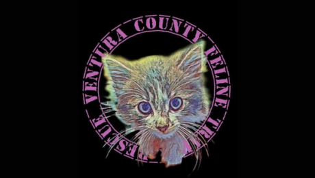 Ventura County Feline Trap & Rescue Fundraiser